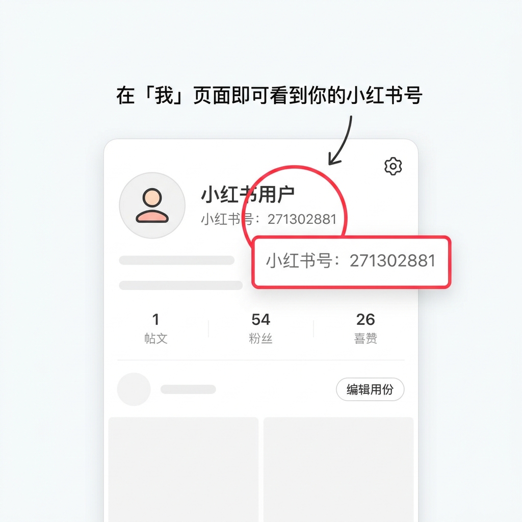 小红薯号位置示例